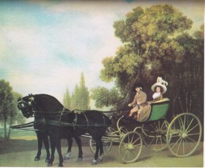 Una chiamata di campagna
